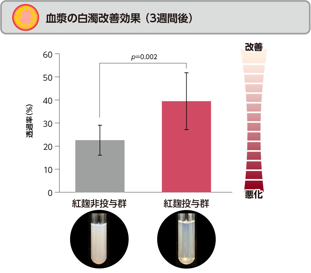 血漿の白濁改善効果（3週間後）
紅麹非投与群、紅麹投与群