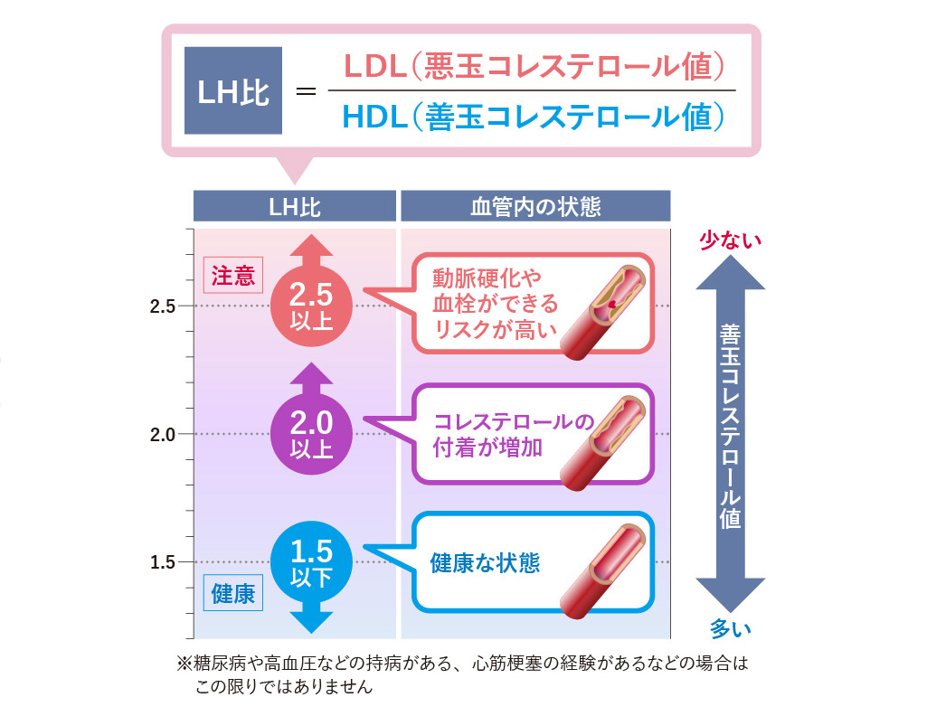 動脈硬化指数（LH比）と血管の状態
