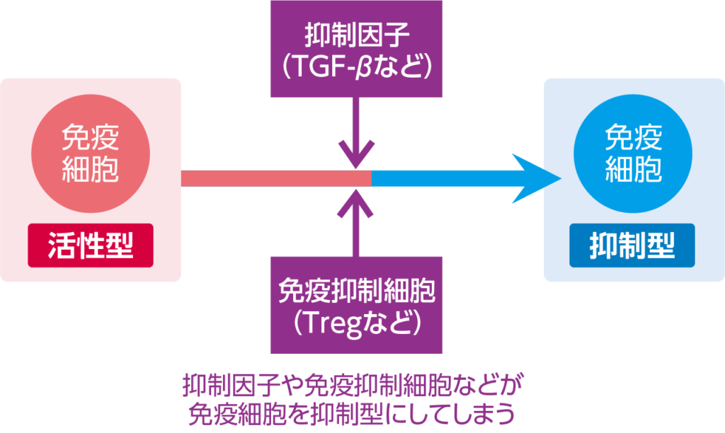 Treg、TGF-βが免疫の低下・抑制に関わるメカニズム
抑制因子や免疫抑制細胞などが免疫細胞を抑制型にしてしまう